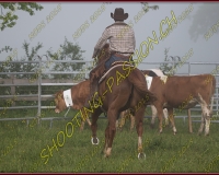 2NODS 0089